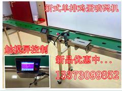 供應河北新型單排雞蛋打字機 單個雞蛋噴碼機