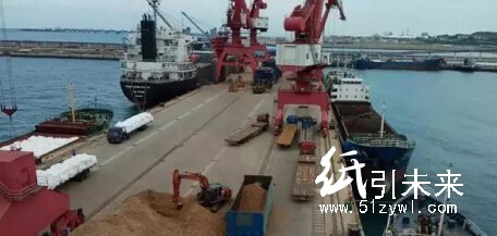 海南金海漿紙提升專用碼頭運行效率