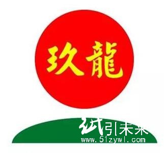 玖龍紙業